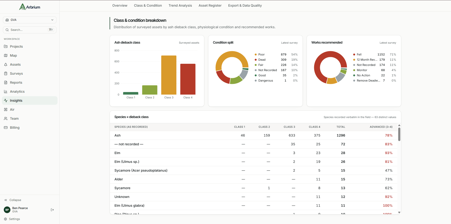 Arbrium insights dashboard